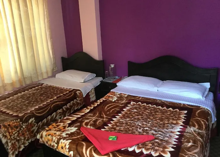Hotel Pashupati Darshan 2*