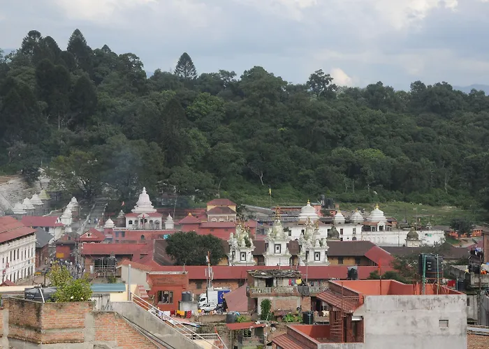 Pashupati Darshan 2*
