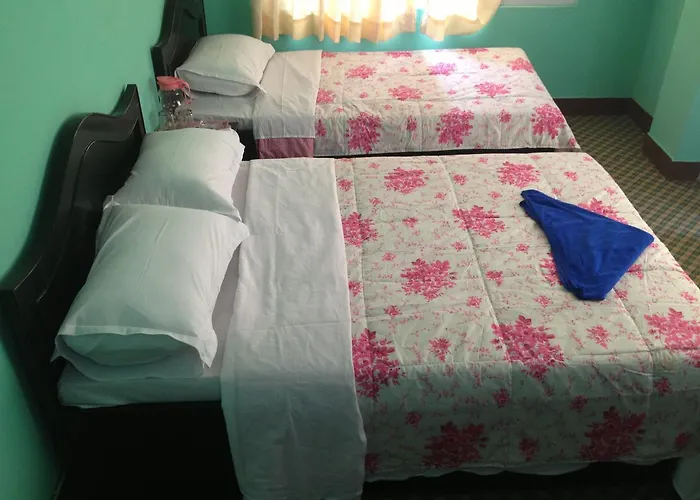 Pashupati Darshan Hotel 2*